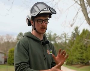 Tree Prunning Information Tips