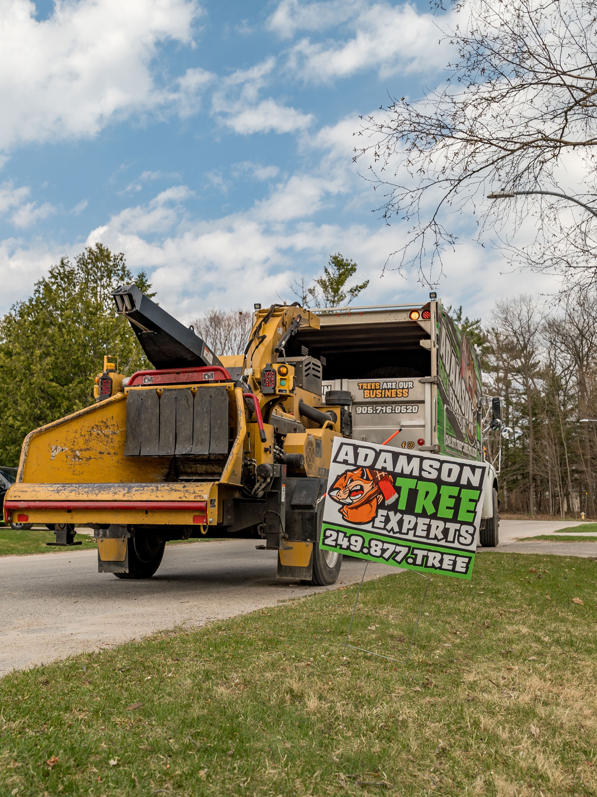 Adamson Tree Expert Tree Clearing Logs