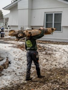 Adamson Tree Expert Tree Clearing Logs