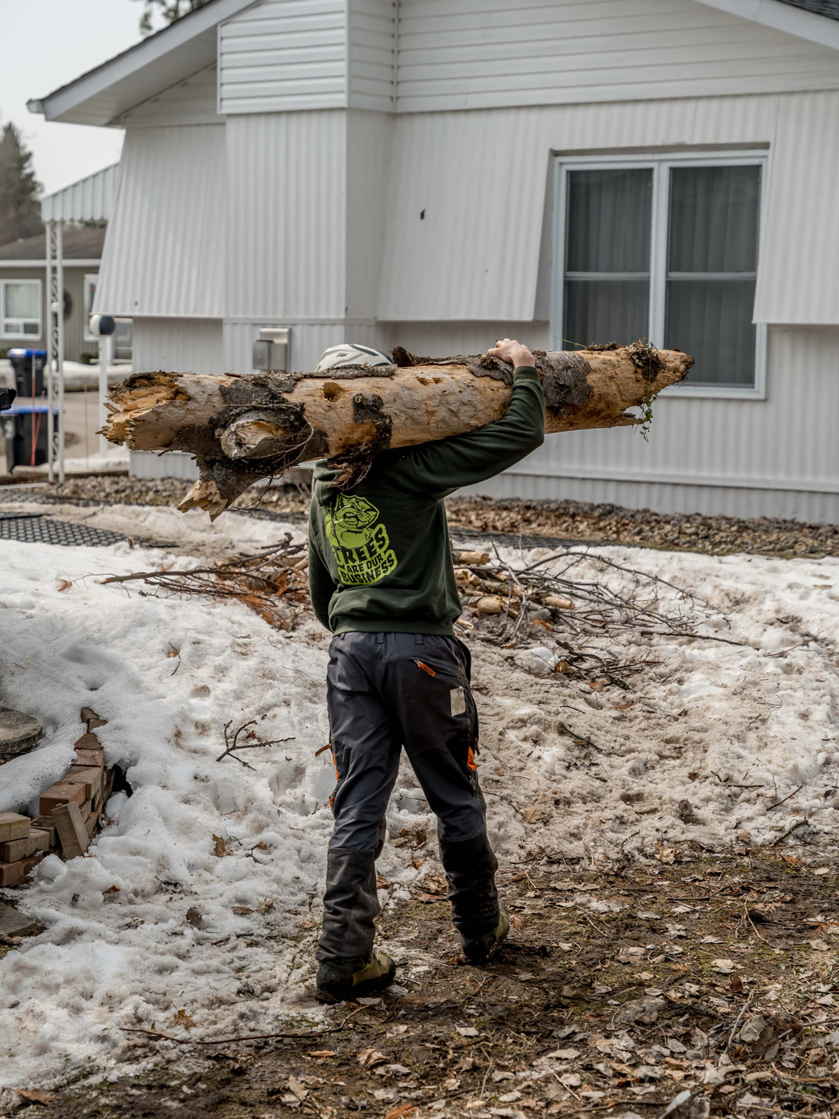 Adamson Tree Expert Tree Clearing Logs