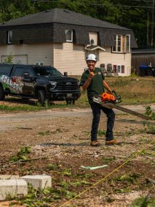 Big trees require big equipment.