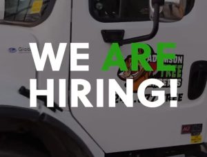 Now Hiring: Tree Service Professionals